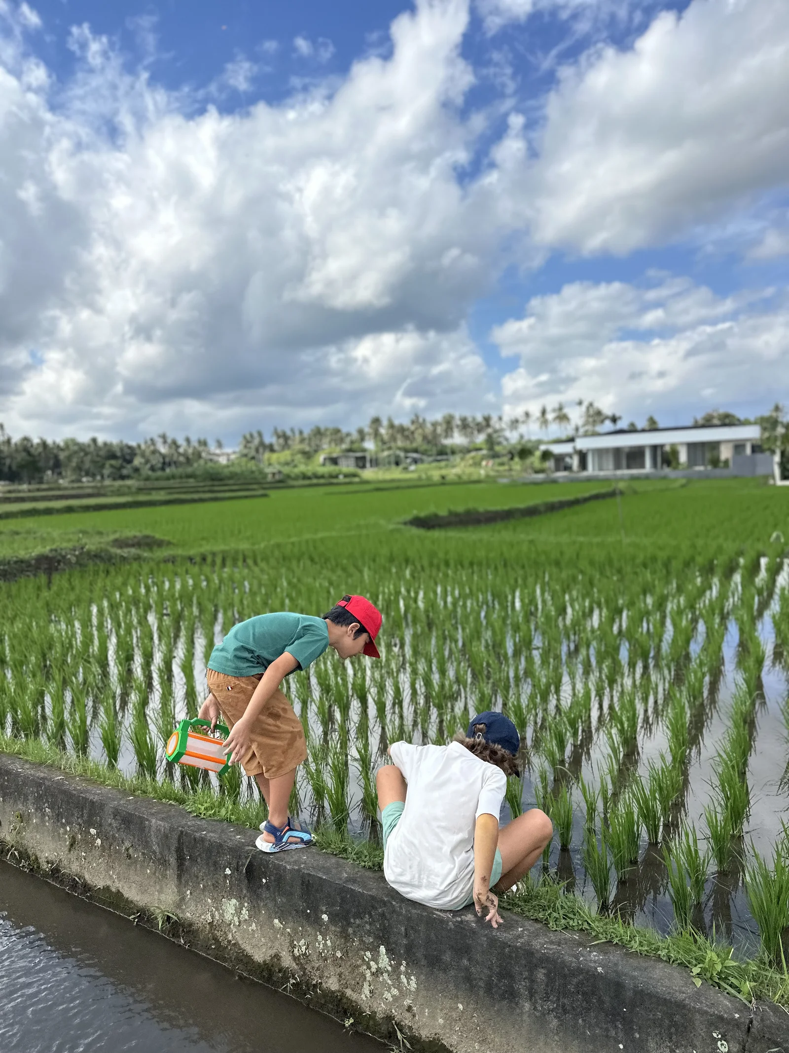 Sunny Kids Moment 108